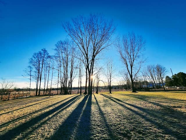 Green Lake Dog Park - Image 2
