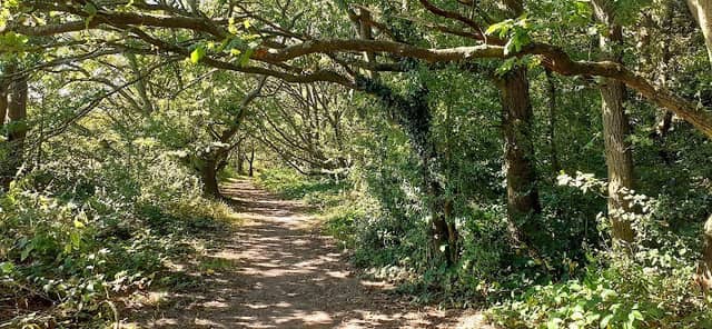 Woodcock Hill - Image 1