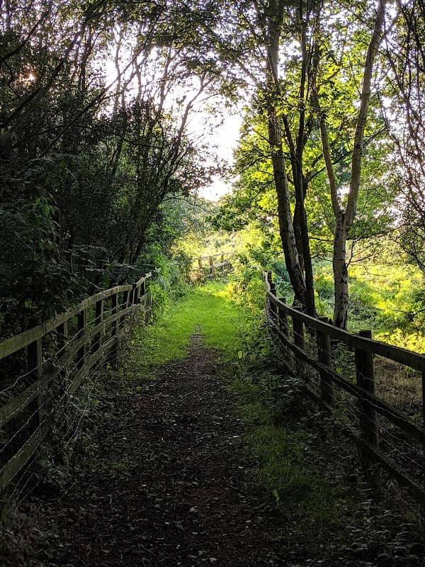 Thorne and Hatfield Moors - Image 1
