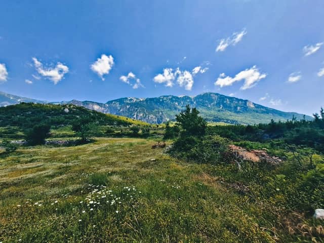 Shkëmbi i bletës - Image 1