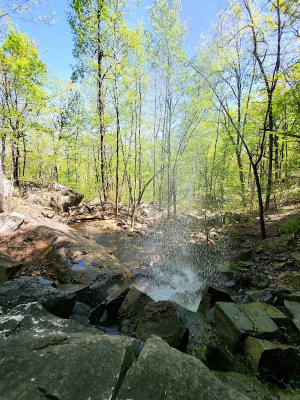Crockford-Pigeon Mountain Wildlife Management Area - Image 2