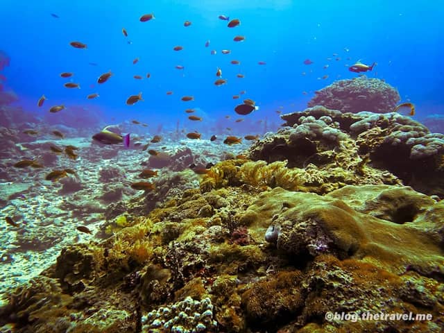 Crystal Bay Dive Site - Image 1