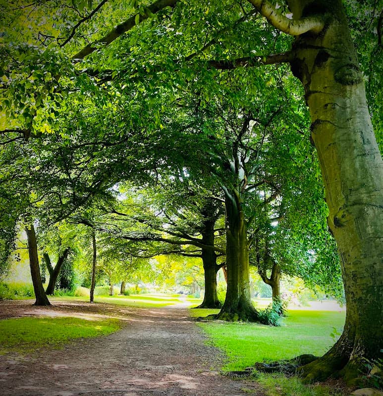 Thornton Park - Image 1