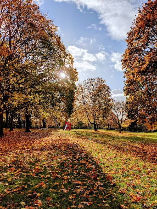 Thornton Park - Image 2