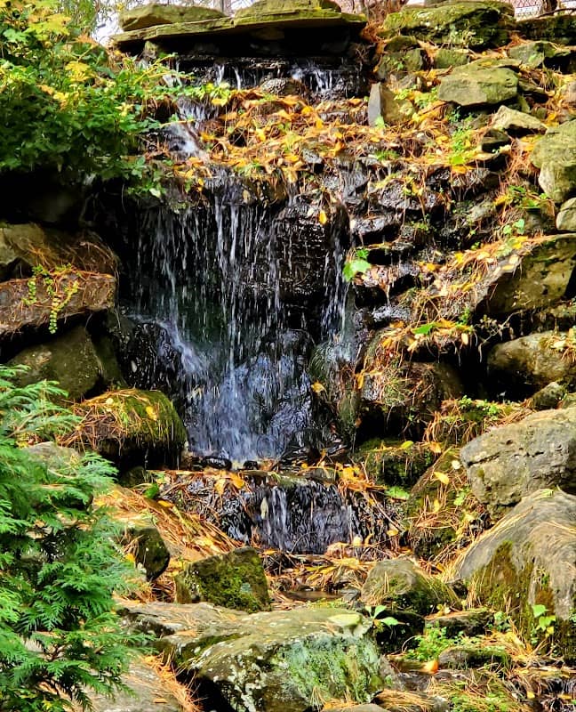 Mission Oaks Gardens - Image 3