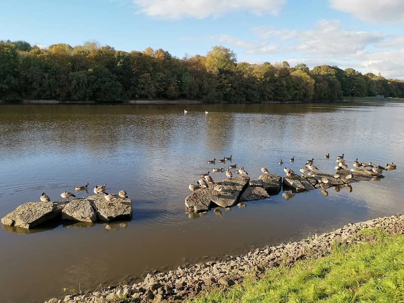 Reservoir Earthen Dam - Image 1