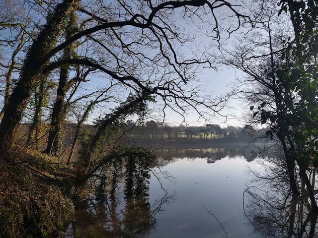 Reservoir Earthen Dam - Image 2