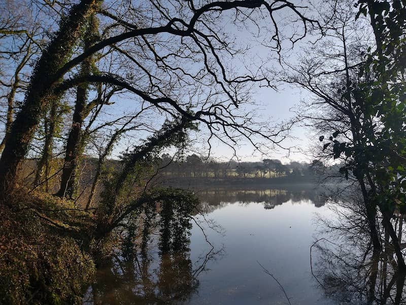 Reservoir Earthen Dam - Image 2