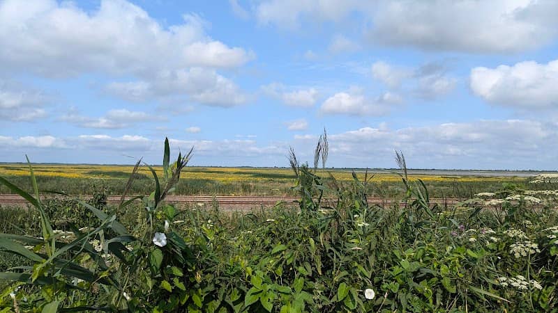 Uitkijk oostvaardersplassen - Image 1