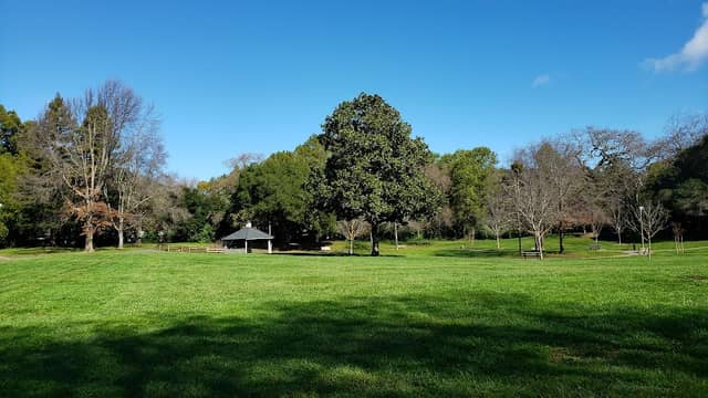 Pioneer Park - Image 2
