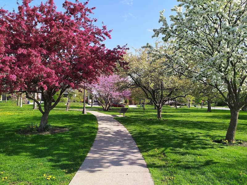 Taylor Park - Image 1