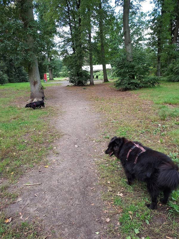 HundefreilaufOnkel Toms Hütte - Image 1