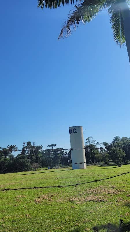 Botanical Garden of the Agronomic Institute - Image 3