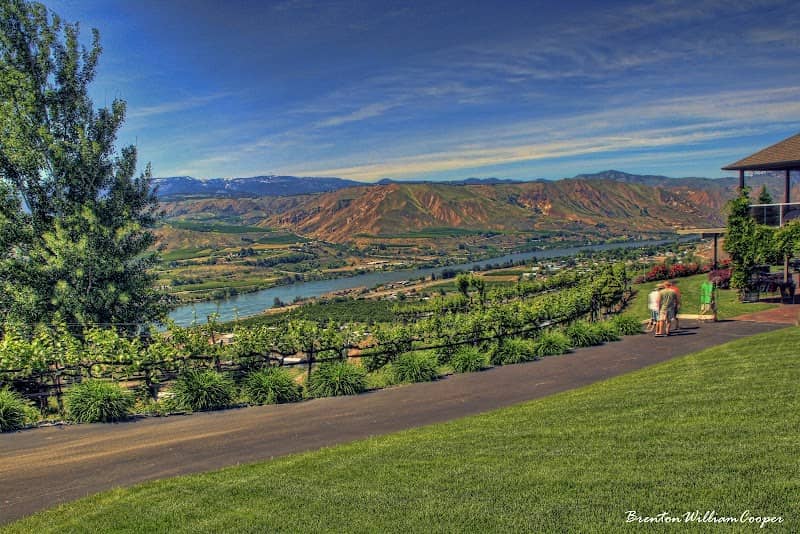 Circle 5 Winery (Martin-Scott) - Image 1