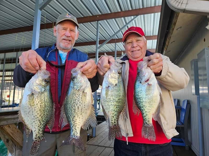 ACTION FISHING TRIPS - Image 1