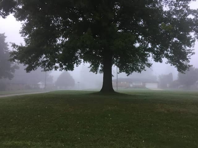 Lawndale Park - Image 1