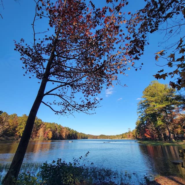 Oak Mountain State Park - Image 3