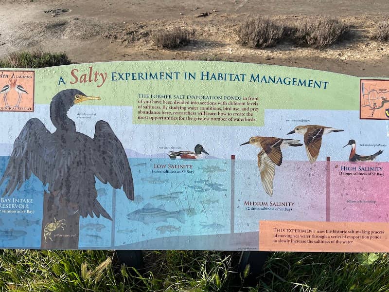 Birding at Eden Landing Ecological Reserve - Image 1