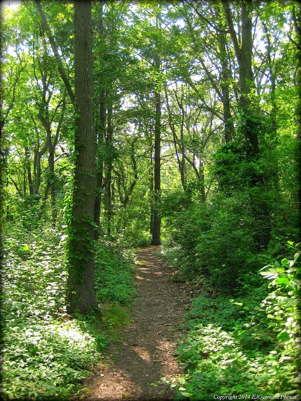 Haines Memorial State Park - Image 2