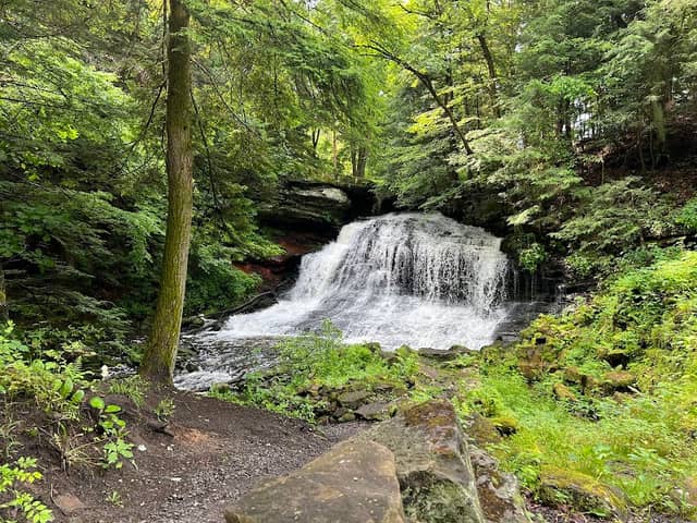 Springfield Falls - Image 2