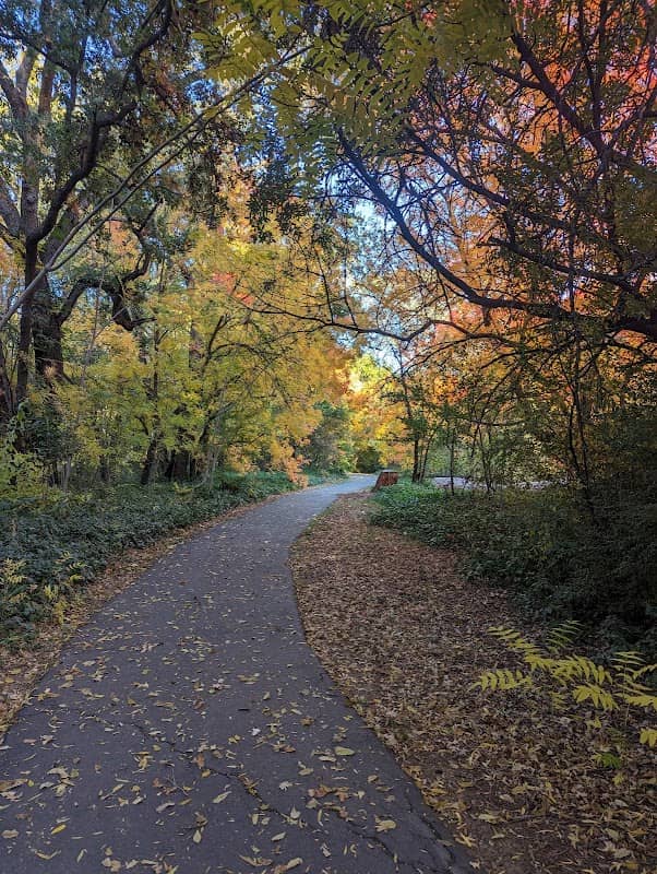 Comanche Trail - Image 2