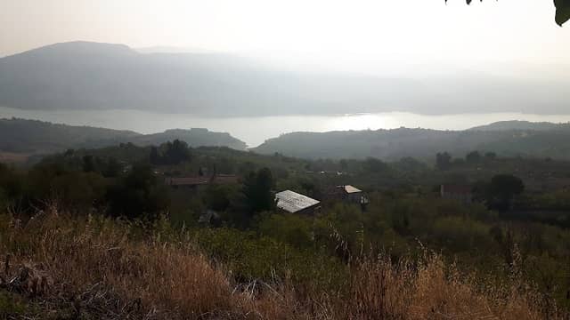 Belvedere - Image 1