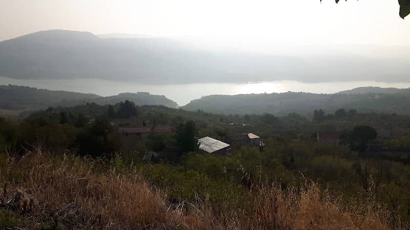 Belvedere - Image 1