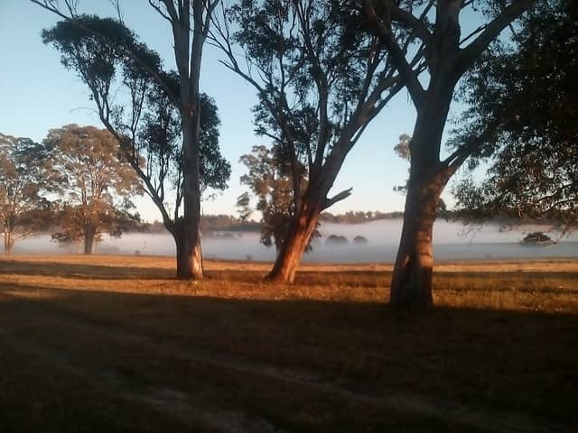 Laurina Park - Image 1