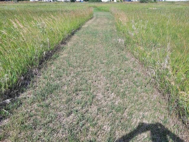 Grassland Trail - Image 2