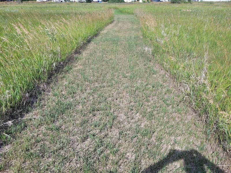 Grassland Trail - Image 2