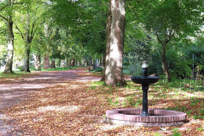 Waterdrinkpunt Leidse hout. - Image 2
