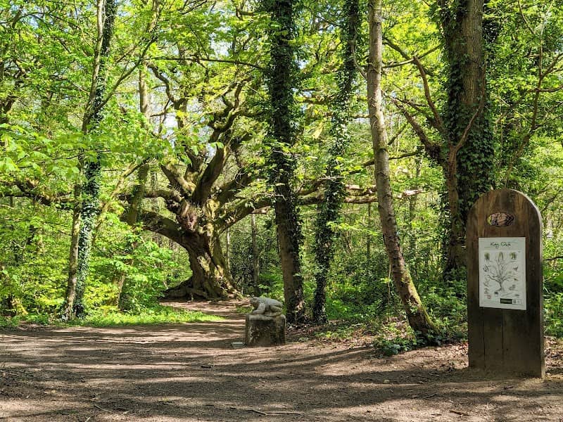 Bordon Inclosure - Image 1