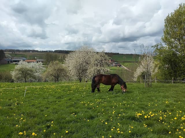 Vijlen - Image 1