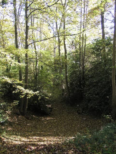 Gravel Hill Spring - Image 1