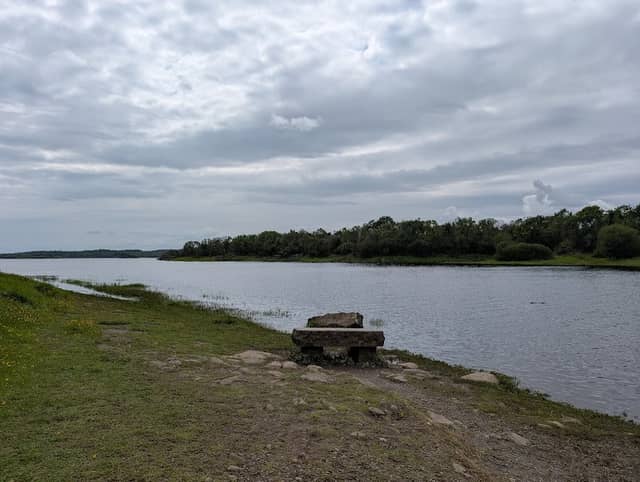 Coole Park Nature Reserve - Image 1