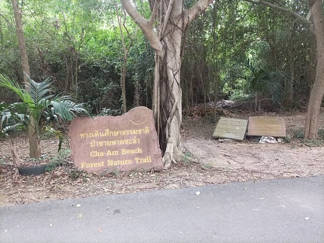 Cha-am Beach Forest Nature Trail - Image 2