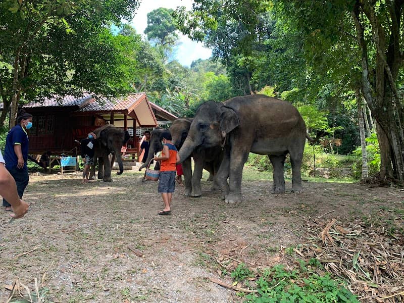 Elephant Wildlife Sanctuary - Image 3