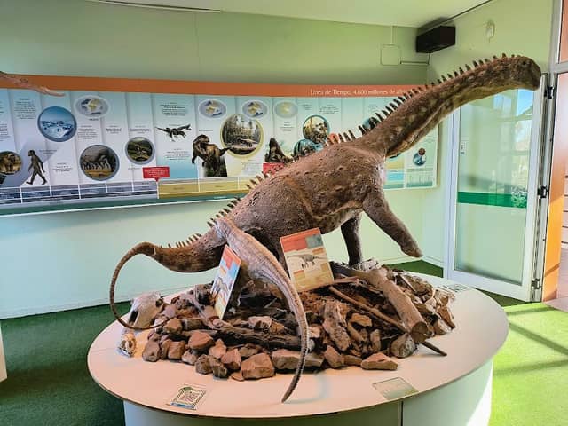 Science Museum - Image 1