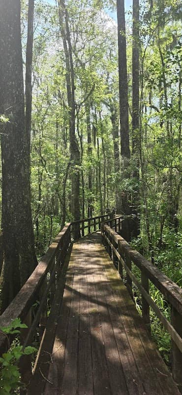 Edisto Nature Trail - Image 1