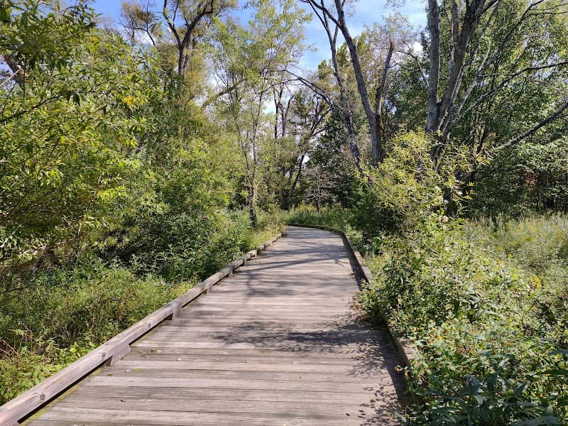 Starkey Swamp - Image 1