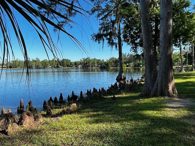 Lake Alice Park-no dogs allowed - Image 2