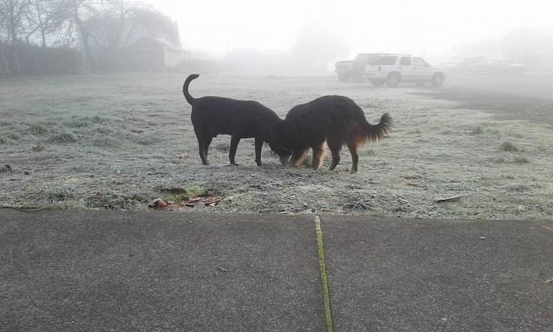 Shelton Parks & Recreation - Image 2