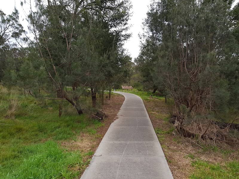 Casuarina Forest Reserve - Image 2