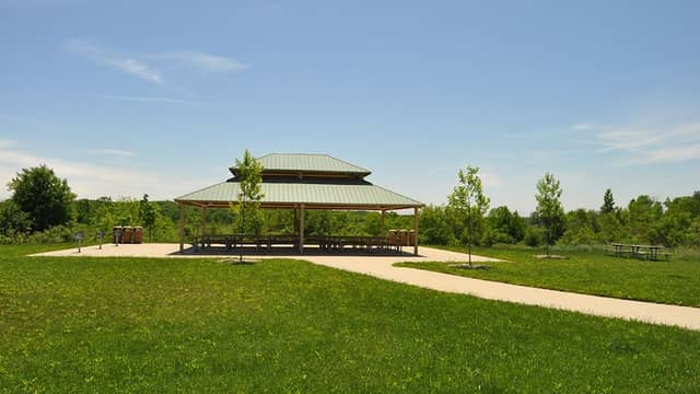Messenger Marsh - Image 2