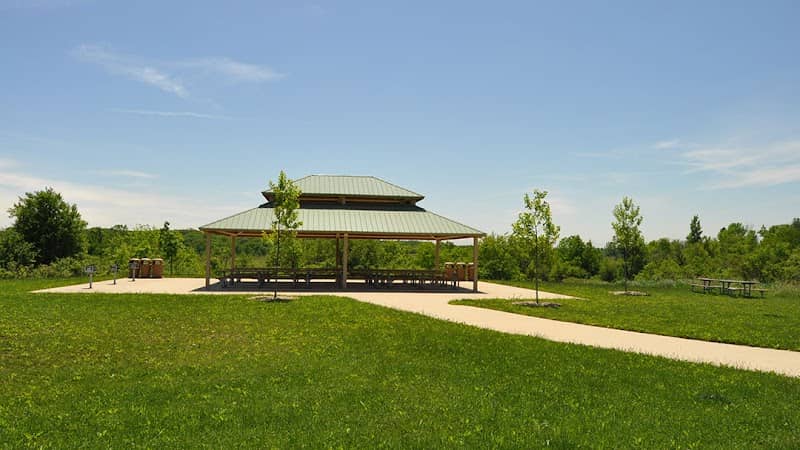 Messenger Marsh - Image 1