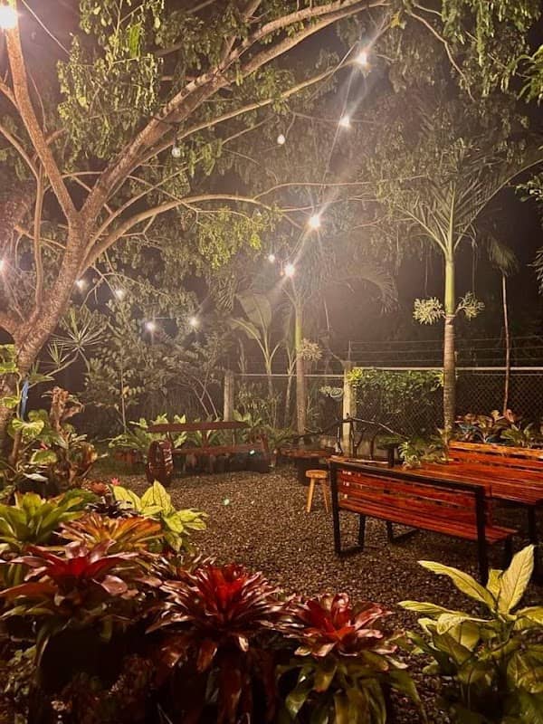 Lhyan's Garden - Image 1