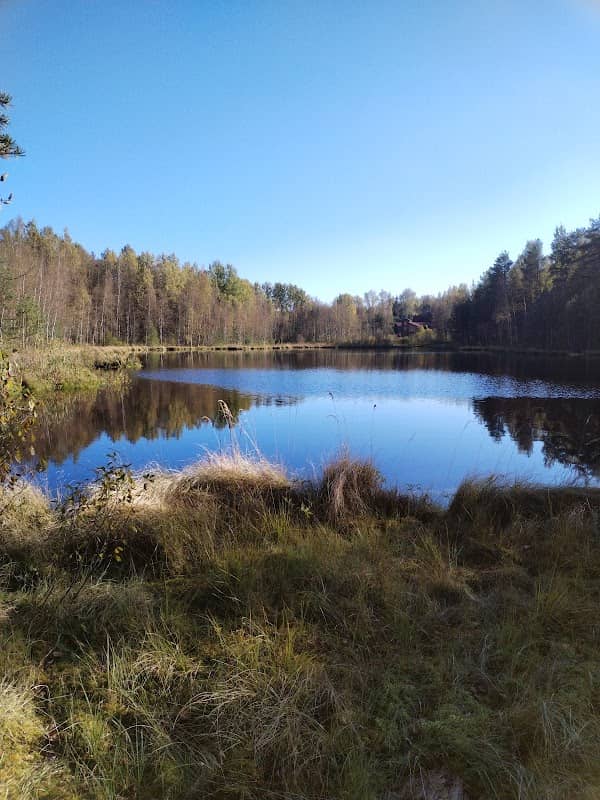 Fox Lake - Image 1