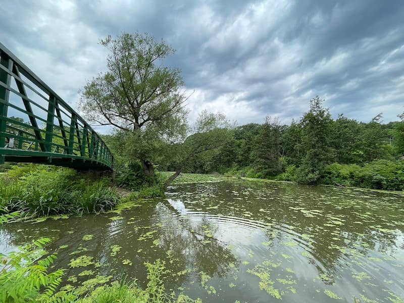 Green Ribbon Trail - Image 2