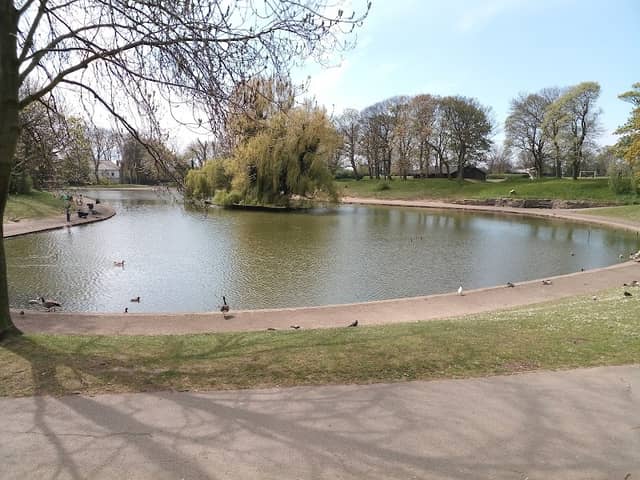 Central Park - Image 2