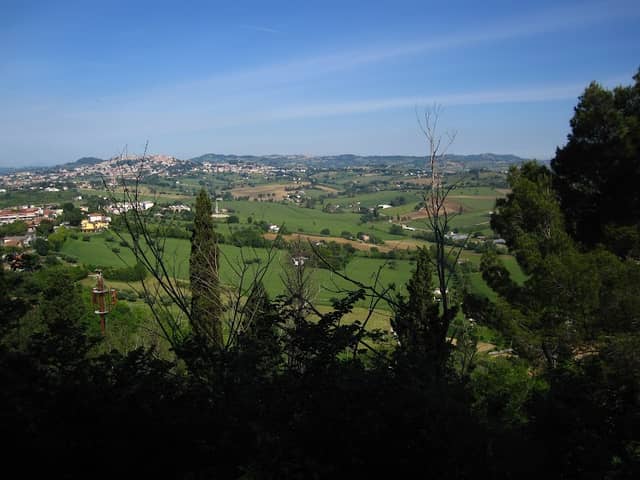 Belvedere - Image 2